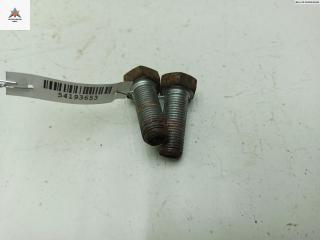 Болт крепления Renault Scenic 1 поколение [рестайлинг] 2002, 1.6 л., бензин, МКПП, синий, минивэн