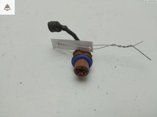 Патрон лампы указателя поворота Fiat Panda 2 поколение 2007, 1.1 л., бензин, МКПП, жёлтый, хетчбэк 5 дв.