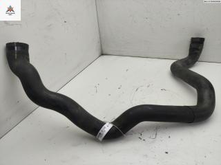 патрубок радиатора Mercedes-Benz Vaneo W414 2002, 1.6 л., бензин, 4145010082