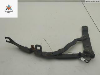 петля крышки багажника BMW Z4 E85 2003, синий, кабриолет, 7016180