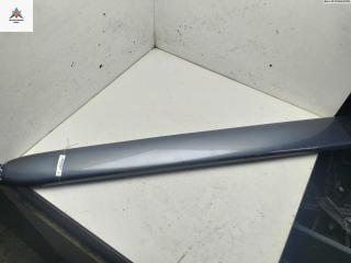 молдинг двери задней левой Citroen Xsara Picasso 1 поколение [рестайлинг] 2005, 1.6 л., дизель, МКПП, серый, минивэн, 9642590077