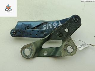 петля капота правая Volkswagen Sharan 1 поколение [рестайлинг] 2002, синий, минивэн