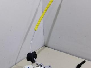 замок двери задней правой Audi A4 B7 2005, 2.5 л., дизель, МКПП, чёрный, универсал, 8E0839016AA