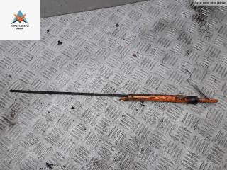 щуп двигателя Volkswagen Passat B5 [рестайлинг] 2002, 1.9 л., дизель, МКПП, серый, универсал, 038115611B