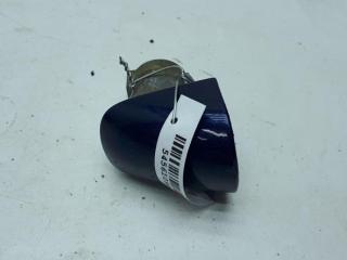 Колпачок (заглушка) ручки двери Volkswagen Touareg 2003, 4.2 л., бензин, АКПП, синий, внедорожник 5 дв.