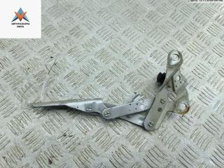 петля капота левая SEAT Alhambra 1 поколение [рестайлинг] 2007, серый, минивэн, 7M3623801A