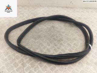 уплотнитель двери Ford Galaxy 1 поколение [рестайлинг] 2001, 1.9 л., дизель, МКПП, белый, минивэн