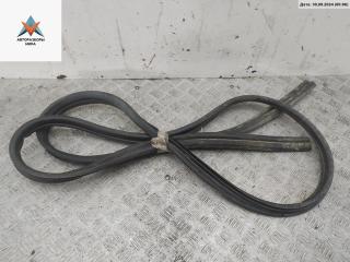 уплотнитель двери Ford Tourneo Connect 1 поколение 2007, 1.8 л., дизель, МКПП, белый, фургон