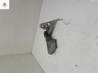 петля двери Volkswagen New Beetle 1999, серый, хетчбэк 3 дв.