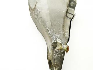 кронштейн двигателя BMW 5 серия E60/E61 [рестайлинг] 2008, 2.0 л., дизель, АКПП, чёрный, универсал, 22116777054