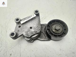 механизм натяжения ремня, цепи Citroen C3 1 поколение 2002, 1.4 л., дизель, МКПП, серый, хетчбэк 5 дв., TF049