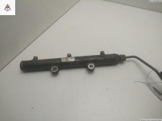 топливная рампа Land Rover Discovery 3 поколение 2006, 2.7 л., дизель, АКПП, чёрный, внедорожник 5 дв., 4R8Q9D280AC