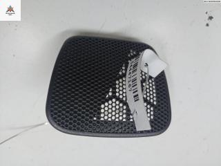 Сетка (решетка) динамика Opel Astra G 2002, 2.2 л., бензин, МКПП, серый, хетчбэк 5 дв., 09131926