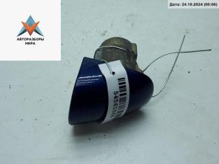 Колпачок (заглушка) ручки двери Volkswagen Touareg 1 поколение 2003, 4.2 л., бензин, АКПП, синий, внедорожник 5 дв.