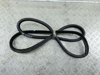 уплотнитель двери BMW 5 серия F07/F10/F11 2012, 2.0 л., дизель, АКПП, белый, универсал