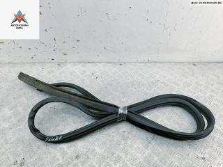 уплотнитель двери Citroen C8 1 поколение 2003, 2.2 л., дизель, МКПП, зелёный, минивэн