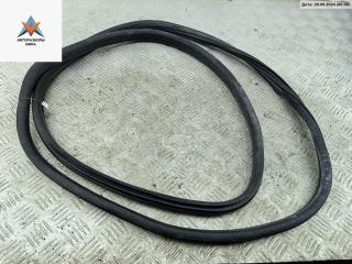 уплотнитель двери Citroen C4 1 поколение [рестайлинг] 2009, 1.4 л., бензин, МКПП, белый, хетчбэк 5 дв., 9647250599