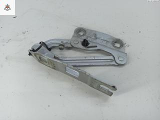 петля капота правая Mercedes-Benz R-Класс W251 2007, серый, минивэн, 2518800228