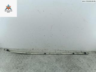 молдинг крыши Renault Scenic 2 поколение 2004, 2.0 л., бензин, МКПП, серый, минивэн, 8200141512