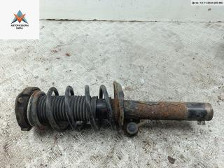 стойка передняя Volkswagen Passat B6 2005, 2.0 л., бензин, МКПП, серый, универсал, D55