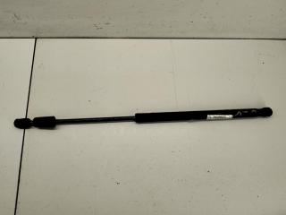 амортизатор крышки багажника (3-5 двери) Skoda Octavia mk2 (A5 1Z) 2007, 2.0 л., дизель, АКПП, синий, универсал, 1Z9827550