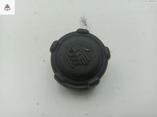 пробка расширительного бачка Renault Scenic 1 поколение [рестайлинг] 2001, 2.0 л., бензин, МКПП, серый, минивэн