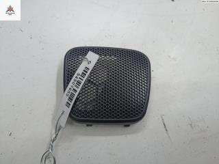 Сетка (решетка) динамика Opel Astra G 1999, 1.6 л., бензин, МКПП, серый, хетчбэк 5 дв.