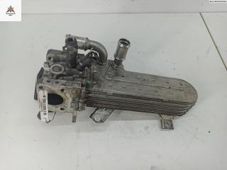 охладитель EGR / Радиатор EGR Audi A3 8L [рестайлинг] 2002, 1.9 л., дизель, МКПП, серый, хетчбэк 5 дв., 038131513D