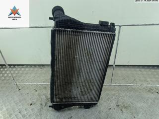 радиатор интеркулера Skoda Octavia mk2 (A5 1Z) 2009, 1.9 л., дизель, МКПП, красный, хетчбэк 5 дв., 1K0145803AN