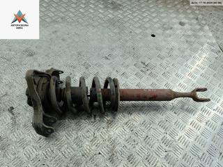 стойка передняя Audi A4 B6 2002, 2.5 л., дизель, АКПП, чёрный, универсал