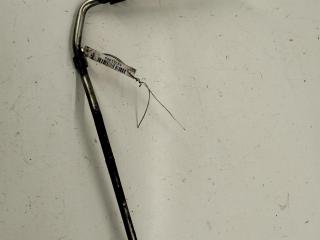 трубка охлаждающей жидкости Volkswagen Passat B5 [рестайлинг] 2001, 2.0 л., бензин, АКПП