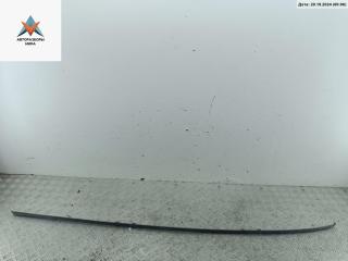 молдинг крыши Renault Scenic 2 поколение 2003, 2.0 л., бензин, АКПП, серый, минивэн, 8200141507