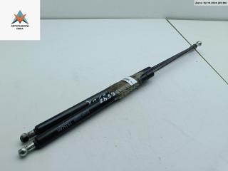 амортизатор крышки багажника (3-5 двери) Renault Scenic 2 поколение [рестайлинг] 2006, 1.4 л., бензин, МКПП, бежевый, минивэн