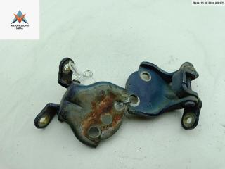 петля двери Rover 25 1 поколение [рестайлинг] 2004, синий, хетчбэк 5 дв.