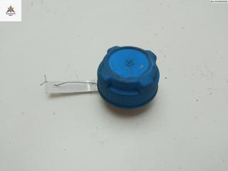 пробка расширительного бачка Fiat Stilo 1 поколение 2002, 1.6 л., бензин, МКПП, серый, универсал