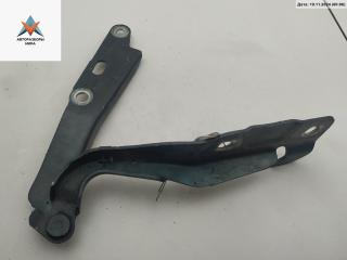 петля капота правая Jaguar S-Type 1 поколение 2000, зелёный, седан