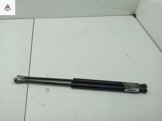 амортизатор стекла багажника Renault Scenic 1 поколение [рестайлинг] 1999, 1.6 л., бензин, МКПП, зелёный, минивэн, 7700430022