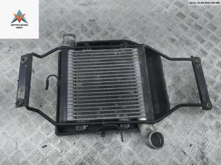 радиатор интеркулера Kia Carens RS/FJ) 2002, 2.0 л., дизель, АКПП, красный, минивэн