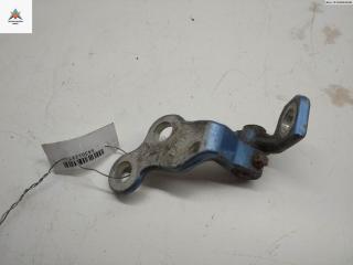 петля двери Ford Focus 1 поколение [рестайлинг] 2002, синий, универсал