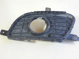 рамка фары противотуманной левой Mercedes-Benz A-Класс W169 2007, 2.0 л., дизель, МКПП, чёрный, хетчбэк 5 дв., 1698850522