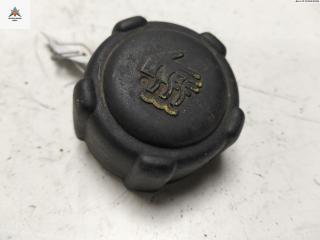 пробка расширительного бачка Renault Scenic 1 поколение [рестайлинг] 2003, 1.6 л., бензин, МКПП, чёрный, минивэн, 8200048024