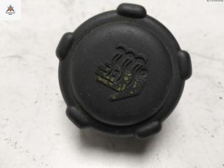 пробка расширительного бачка Renault Scenic 1 поколение [рестайлинг] 2003, 1.6 л., бензин, МКПП, зелёный, минивэн, 8200048024