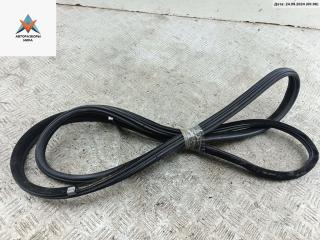 уплотнитель двери Peugeot 607 1 поколение 2003, 2.2 л., дизель, АКПП, синий, седан, 96584242RD