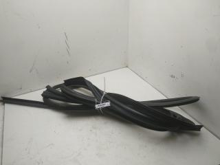уплотнитель двери Renault Master 2011, 2.3 л., дизель, МКПП, синий, микроавтобус