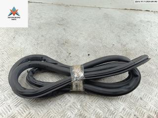 уплотнитель двери Volkswagen Tiguan 1 поколение 2010, 2.0 л., дизель, МКПП, синий, внедорожник 5 дв.