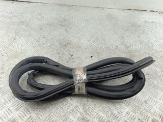 уплотнитель двери Volkswagen Tiguan 1 поколение 2010, 2.0 л., дизель, МКПП, синий, внедорожник 5 дв.