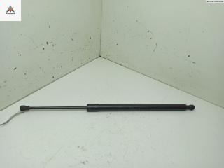 амортизатор крышки багажника (3-5 двери) Renault Modus 1 поколение 2006, 1.4 л., бензин, МКПП, красный, хетчбэк 5 дв., 8200219322