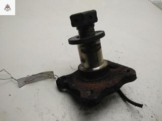 Цапфа задняя (ось ступицы) Ford Fusion 1 поколение 2004, 1.4 л., дизель, МКПП, серый, хетчбэк 5 дв.