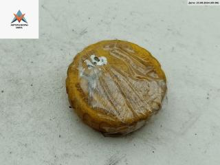 пробка расширительного бачка Opel Astra G 2000, 1.8 л., бензин, МКПП, серый, универсал, 90500007