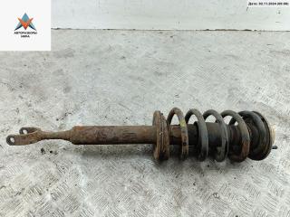 стойка передняя Volkswagen Passat B5 [рестайлинг] 2005, 2.0 л., дизель, МКПП, чёрный, универсал, 3B0413031AB, PRUZHINA, 8D0411105AT